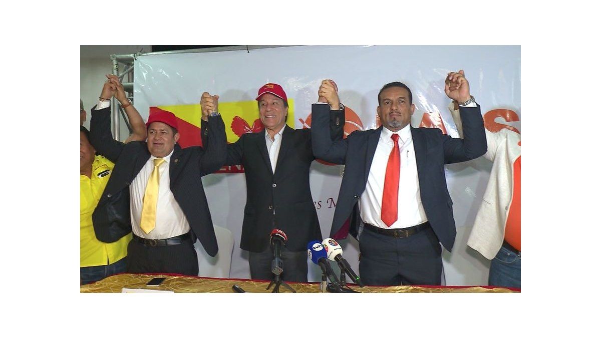 Molirena postulará a los miembros de PAIS