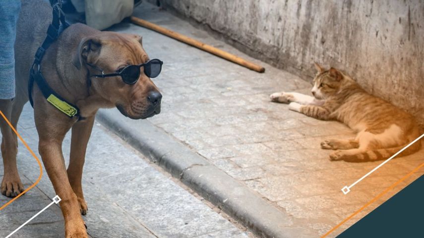 El Municipio de Taboga ha introducido nuevas multas.