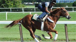 Dullahan en forma para frustrar Triple Corona a Ill Have Another
