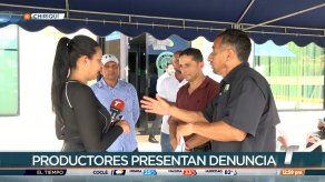 Productores de Chiriquí denuncian ingreso de más de 7 contenedores de papa