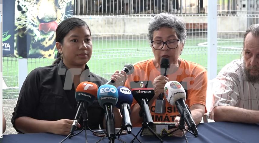 Organizaciones ambientalistas&nbsp; en conferencia de prensa piden moratoria minera e inconstitucionalidad del contrato.