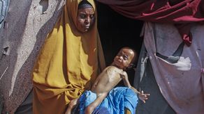 Las existencias de trigo se verán particularmente afectadas en seis países de África Occidental que importan por lo menos 30% de su trigo de Rusia y Ucrania, según el estudio.