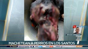 Hombre mata a un perro con un machete en Los Santos