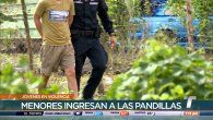 falta de orientacion provoca ingreso de jovenes a pandillas, expertos falta de orientacion provoca ingreso de jovenes a pandillas, expertos