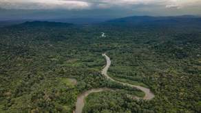 Universidad de Leidem de los Países Bajos realiza importante investigación en Darién