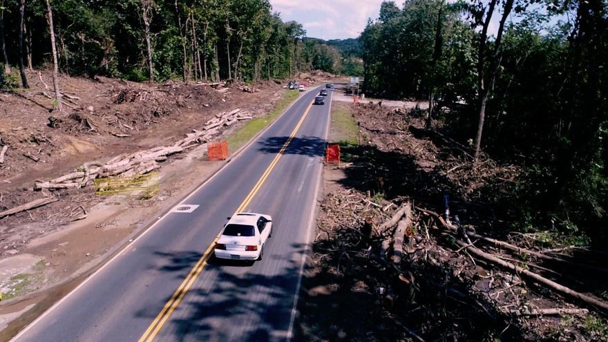 Panamá sin Límites: Deforestación, un alto precio para el desarrollo