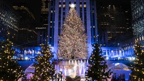 El árbol está cubierto por más de 50,000 luces.