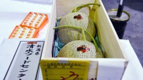 Subastan en Japón dos melones por más de 12.000 dólares
