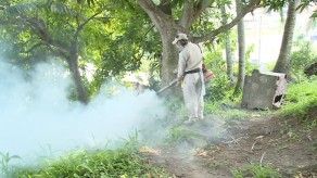 Detectan nuevo caso de chikungunya en Panamá