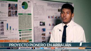 Mentes Brillantes: Justin Pérez