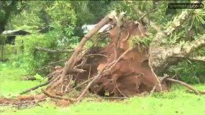 Mal tiempo en Colón deja decenas de viviendas afectadas