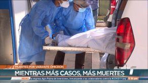 Expertos explican comportamiento de la variante ómicron en Panamá