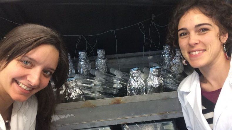 El plástico vertido en el mar hace crecer bacterias marinas, según un estudio