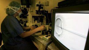 Diputados votan ley de Fertilización Asistida en Argentina