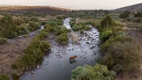 La agencia noticiosa estatal jordana Petra dijo que con el plan se espera incrementar el suministro de agua y crear empleos “para los que viven en las dos márgenes del río Jordán, incluidos los palestinos”.