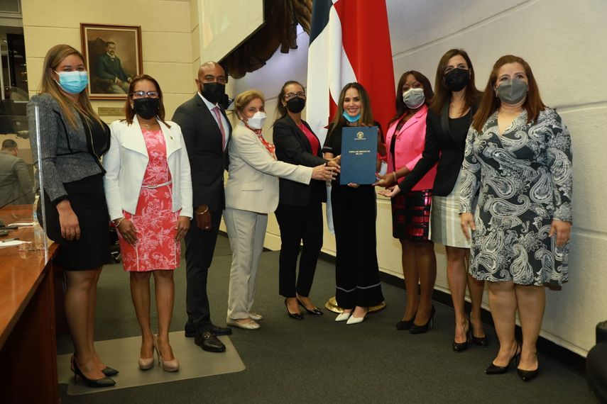 El proyecto de ley N°333 busca proteger a los menores de edad que hayan quedado huérfanos.