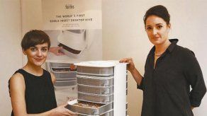 Sano y ecológico: el primer aparato para criar gusanos comestibles en casa