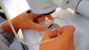 Describen un mecanismo celular que crea resistencia a los antibióticos