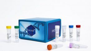Presentan una herramienta para facilitar el diagnóstico precoz de cáncer