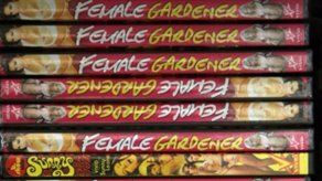 Cae en Japón red que vendía DVDs de pornografía infantil