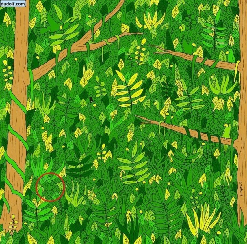 Respuesta del acertijo visual Respuesta del acertijo visual