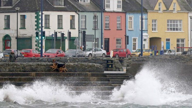 Una mujer muere al caer un árbol por la tormenta Ophelia en Irlanda