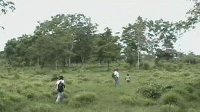 Secuestradores se identifican como miembros de las FARC