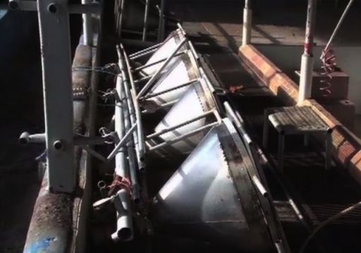 Fincas productoras de leche grado A en Chiriquí han cerrado por pérdidas