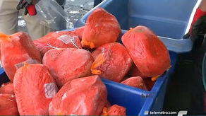 Cajas navideñas del IMA.