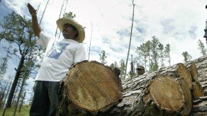 Exportadores guatemaltecos ponen mirada en Panamá