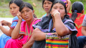 MINSA informa que residentes de la Comarca no buscan atención médica