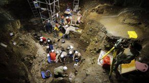 Buscan completar en Atapuerca dos millones de años de evolución humana