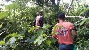 Sinaproc sin rastros del menor 9 años desaparecido en Chiriquí