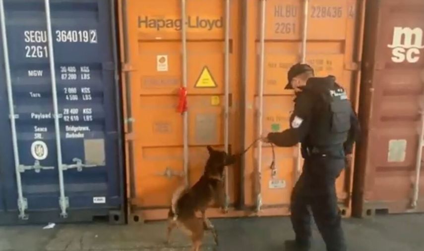 En 2021 Ecuador confiscó el récord anual de 210 toneladas de drogas