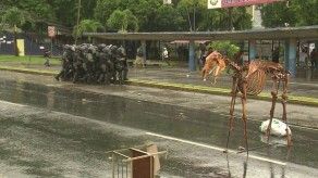 Clases en la UP continúan suspendida tras protestas por alumnos de agronomía