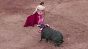 José Tomás detiene su mito y leyenda