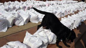 Grecia usará perros para detectar billetes y luchar contra la fuga de capitales