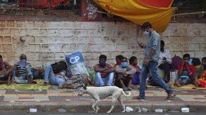 Nueva Delhi deroga órdenes sobre pruebas para virus