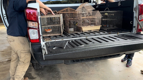 MiAmbiente MiAmbiente