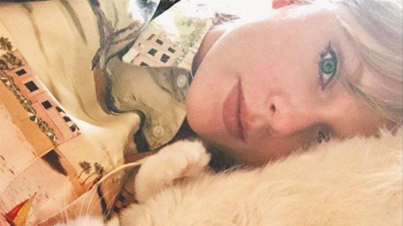 Taylor Swift se enamoró de su nuevo gatito en cuestión de segundos
