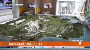 Empresas de Panamá Pacífico se mantienen produciendo a todo vapor