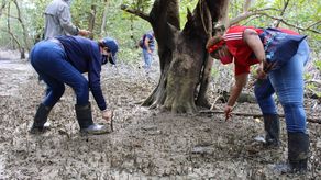 Carbono negativo significa que una actividad, proyecto o país elimina más dióxido de carbono del que emite. Carbono negativo significa que una actividad, proyecto o país elimina más dióxido de carbono del que emite.