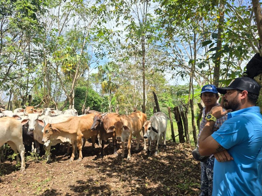 MIDA capacita a productores darienitas