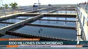 Clientes adeudan al Idaan unos 100 millones de dólares