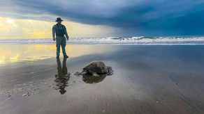 Policía Nacional incauta 653 huevos Policía Nacional incauta 653 huevos