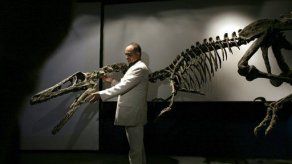 Argentina: Hallan restos de especie desconocida dinosaurio