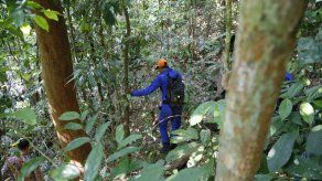 Usan voz de madre de niña desaparecida para buscarla