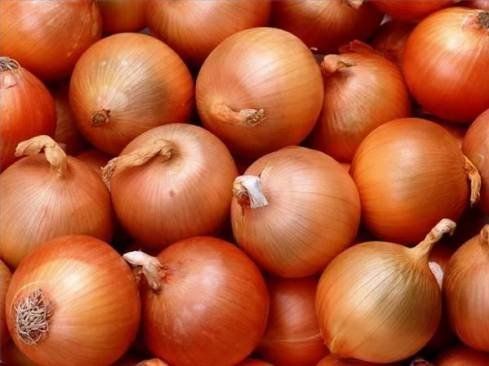 Panamá importará 80 mil quintales de cebolla