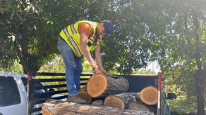 MiAmbiente detiene cargamento ilegal de madera MiAmbiente detiene cargamento ilegal de madera