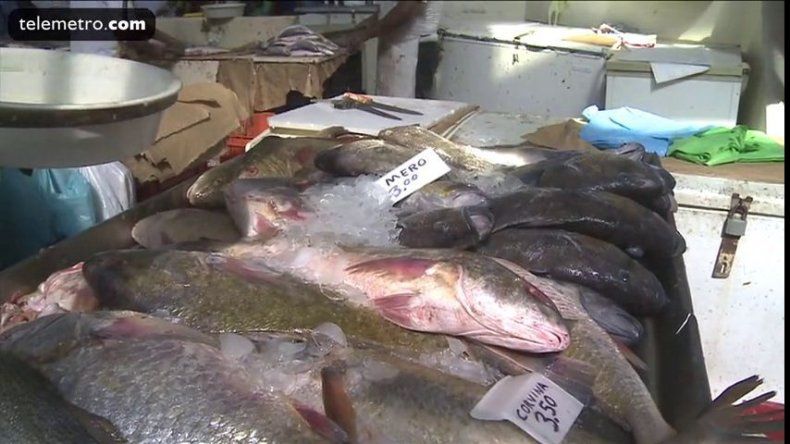 Pargo y corvina, preferidos por panameños en Semana Santa